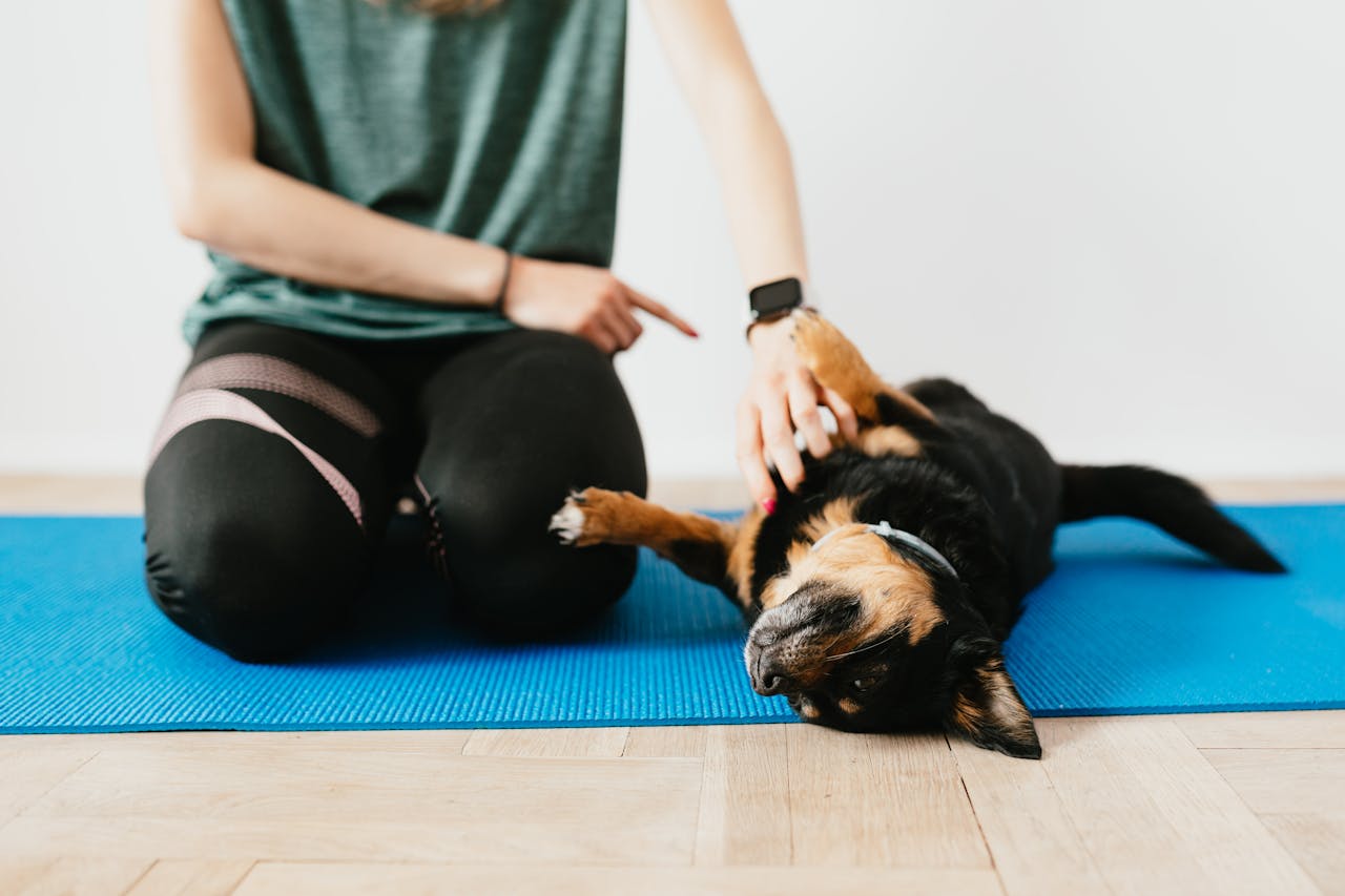 services-02 A woman in workout gear sits with her relaxed dog on a blue yoga mat, enjoying a calm moment indoors.