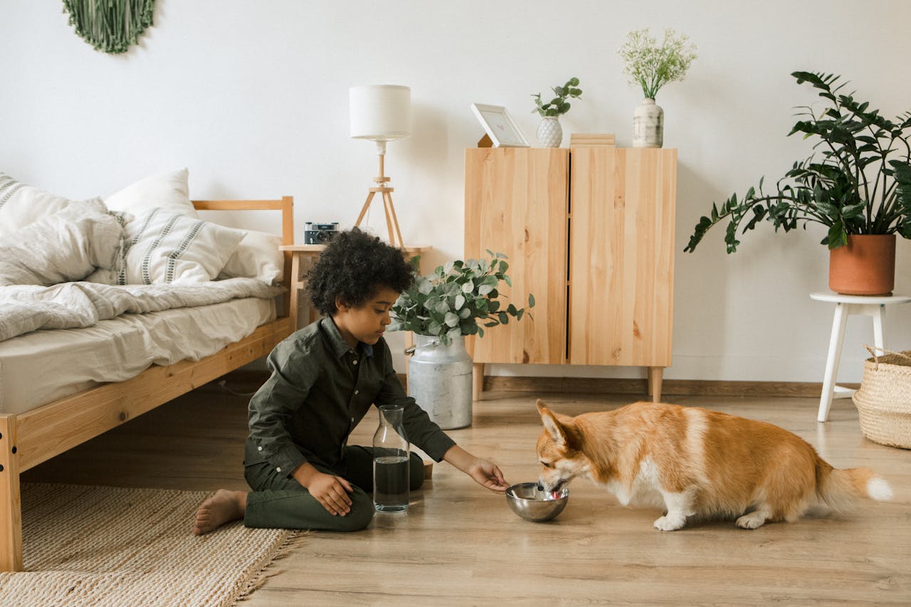 team-02 Child feeding a Corgi water in a cozy bedroom with plants and natural decor.