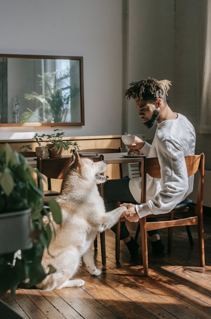 team-04 Man enjoying coffee indoors with his friendly Akita Inu dog during a sunny day.